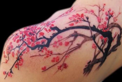 Amazing Cherry Blosoom Tattoo On Left Shoulder